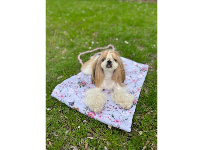 Zwijana Mata transportowa FANCY Pink...