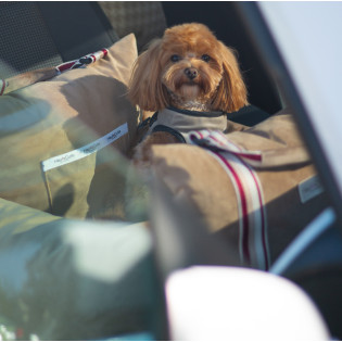 Siedzisko samochodowe dla...